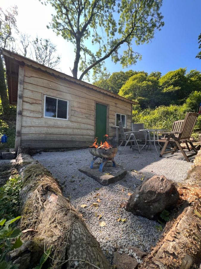 Foxglove Eco Lodge Llanelli Exterior foto